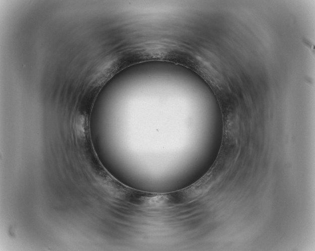 X0000094210122200710261218