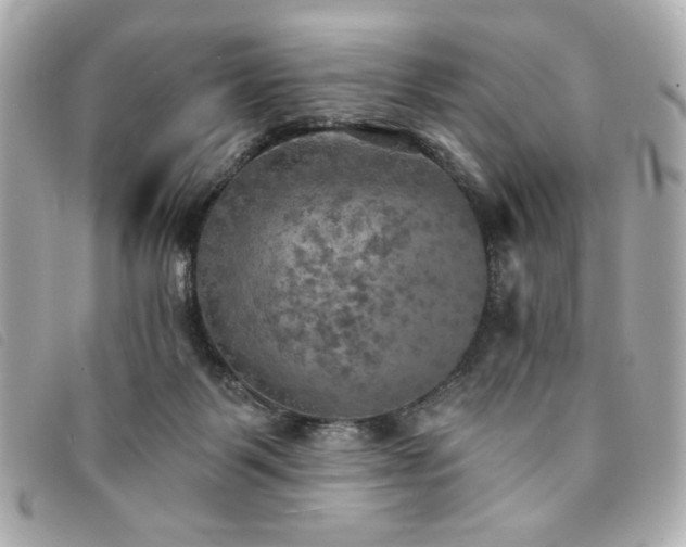 X0000094210123200710261218
