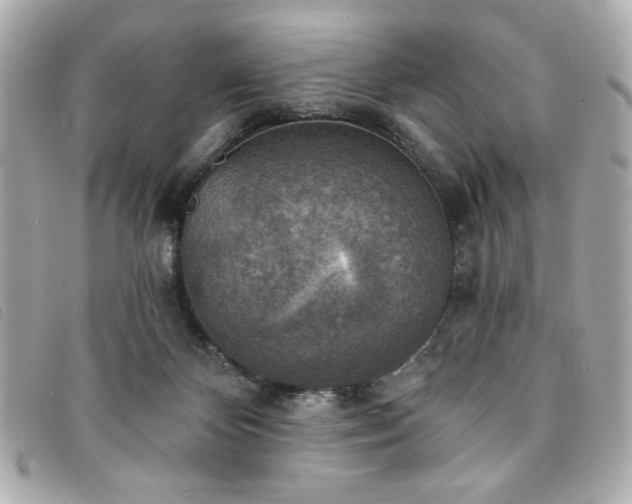 X0000094210124200710261218