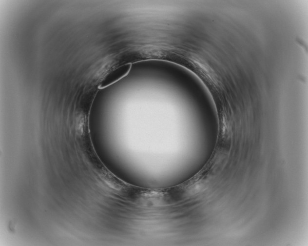 X0000094210125200710261218
