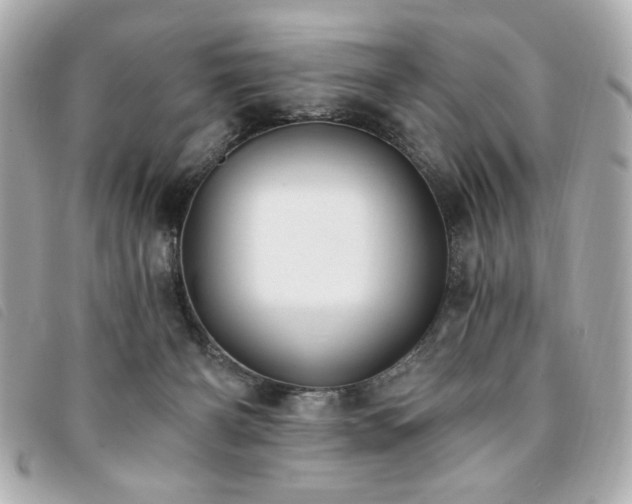 X0000094210126200710261218