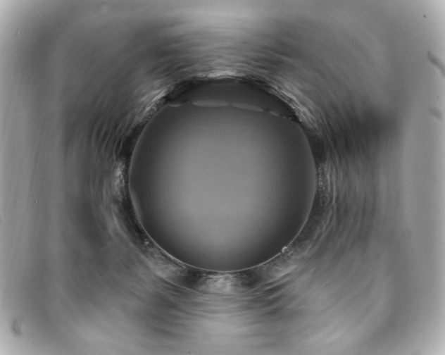 X0000094210127200710261218