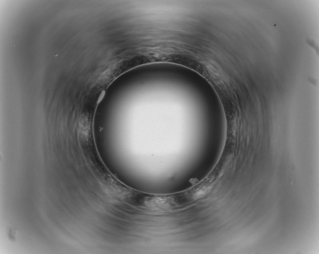 X0000094210129200710261218