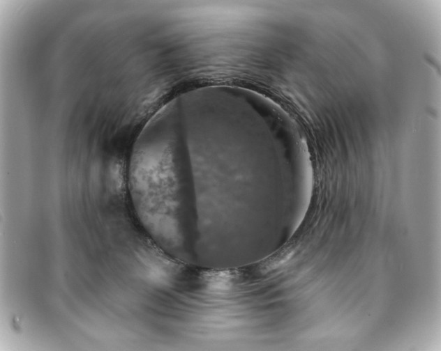 X0000094210131200710261218