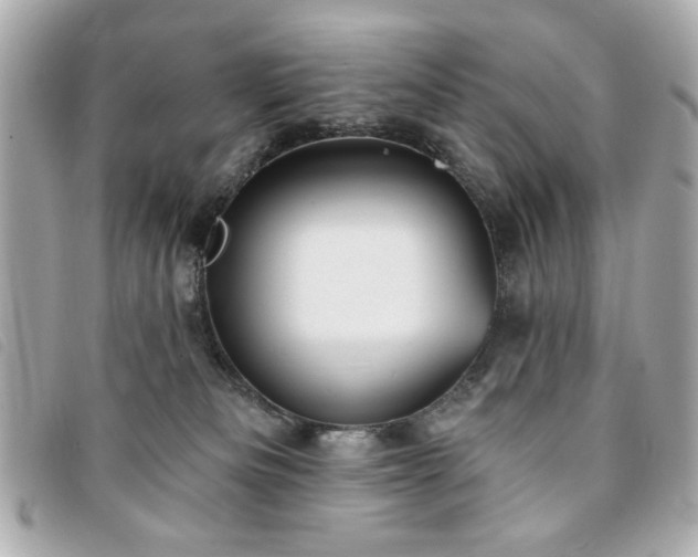 X0000094210133200710261218
