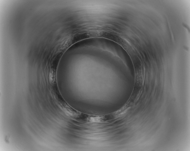 X0000094210134200710261218