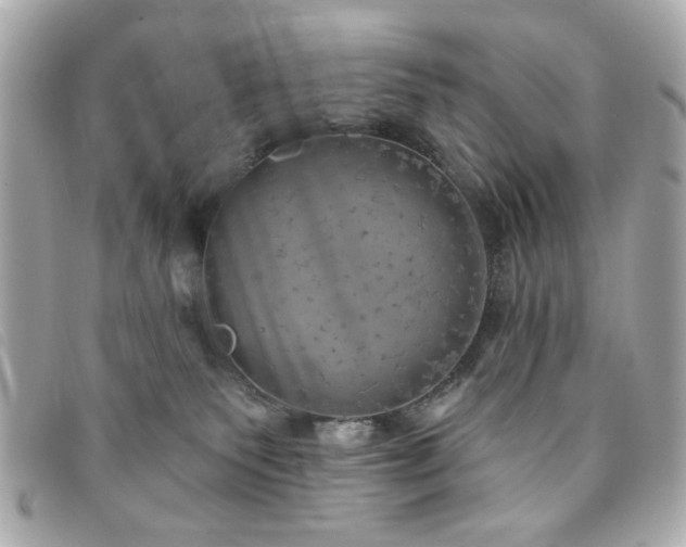 X0000094210135200710261218