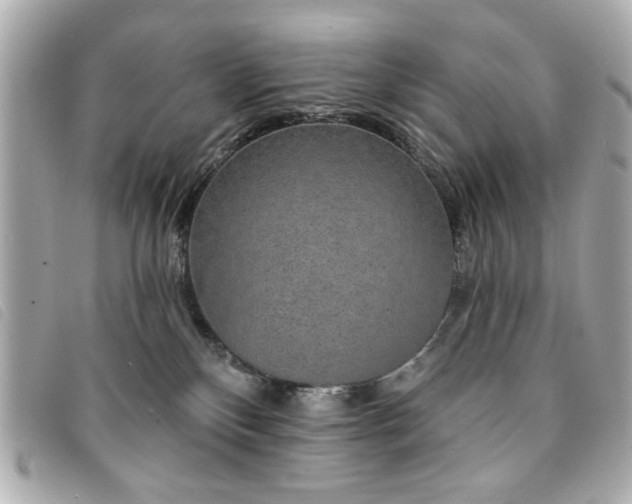 X0000094210136200710261218