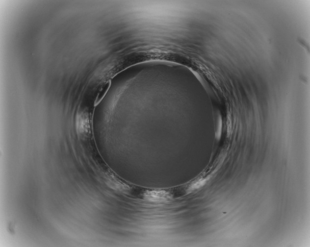 X0000094210137200710261218