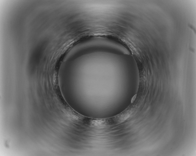 X0000094210139200710261218