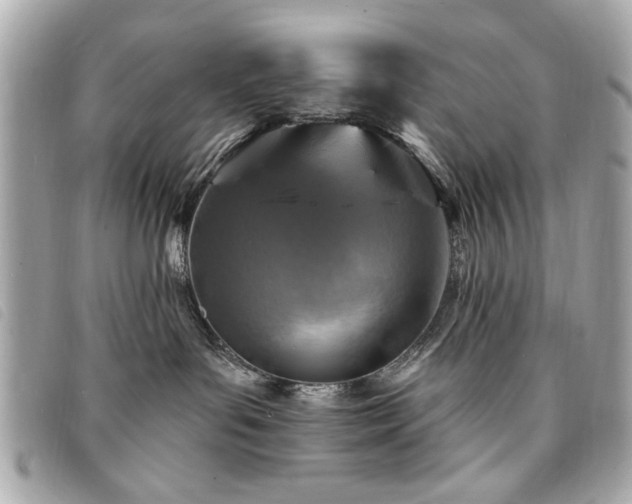 X0000094210143200710261218