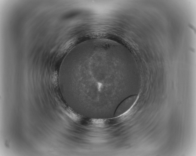 X0000094210144200710261218