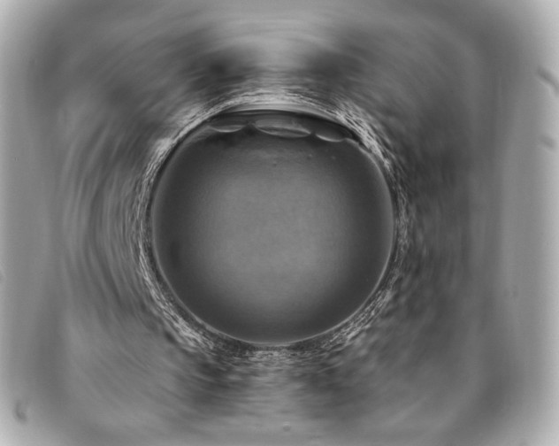 X0000094210145200710261217