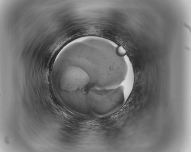 X0000094210146200710261217