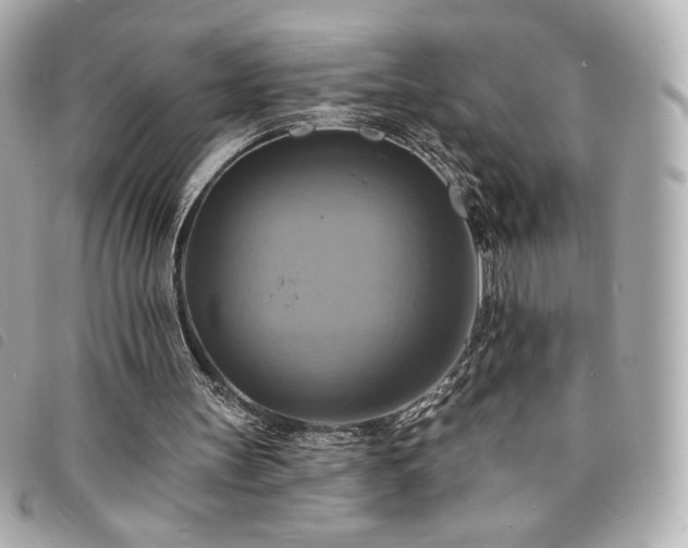 X0000094210147200710261217