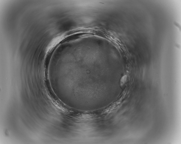 X0000094210149200710261217