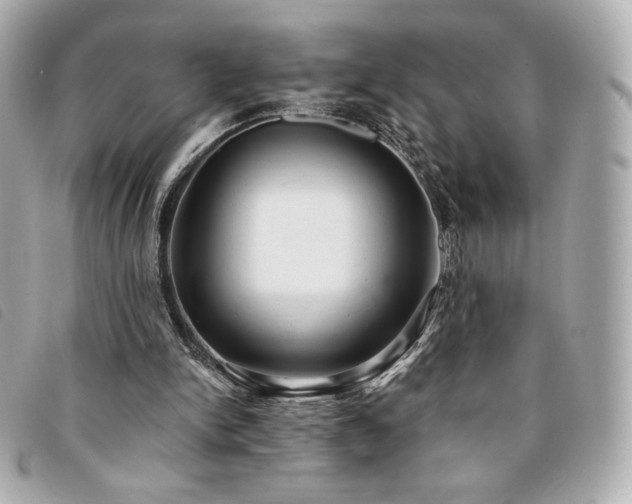 X0000094210150200710261217