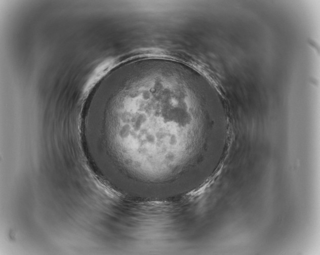 X0000094210151200710261217