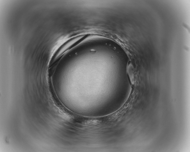 X0000094210152200710261217