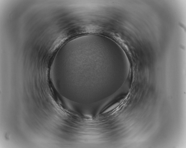 X0000094210154200710261217