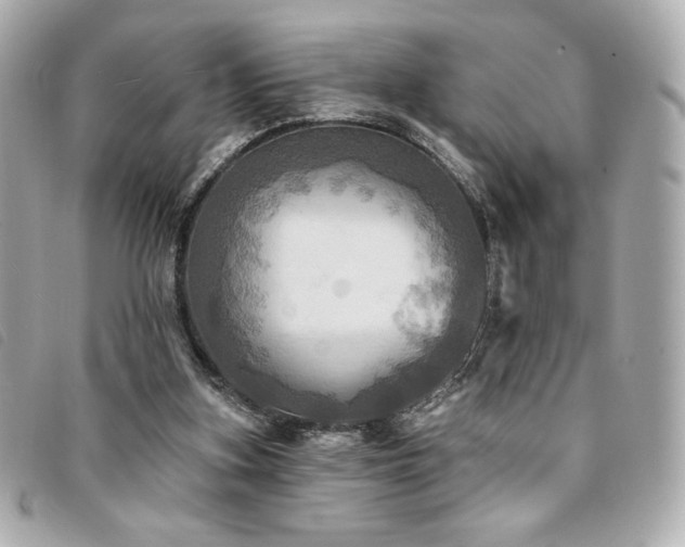 X0000094210155200710261217