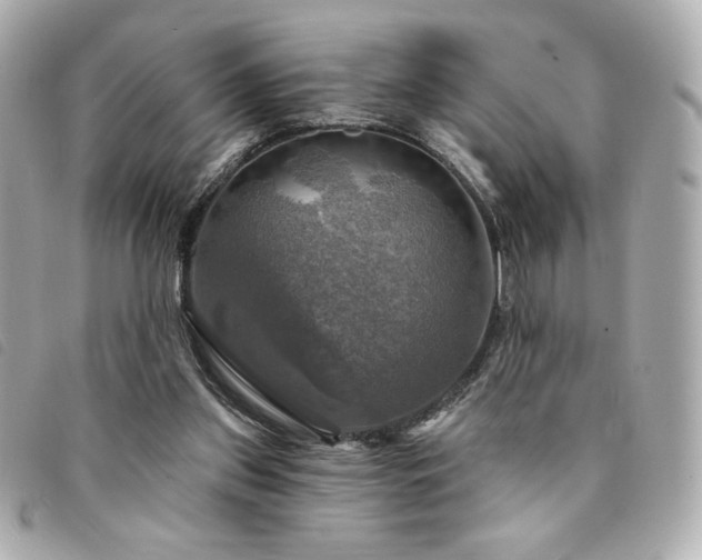 X0000094210157200710261217