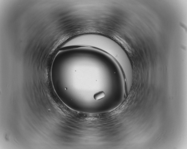 X0000094210158200710261217