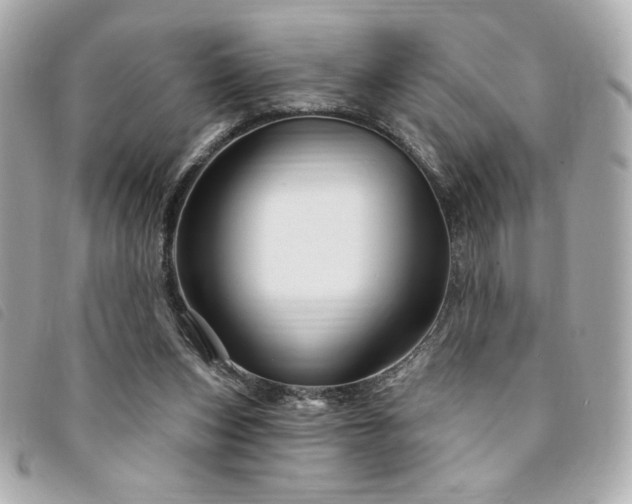 X0000094210159200710261217