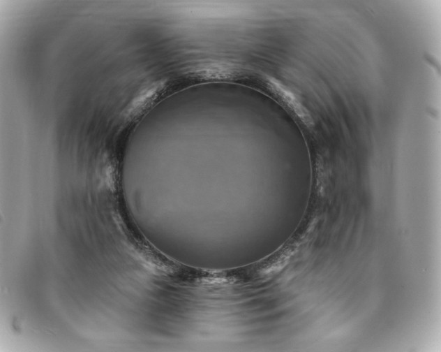 X0000094210161200710261217