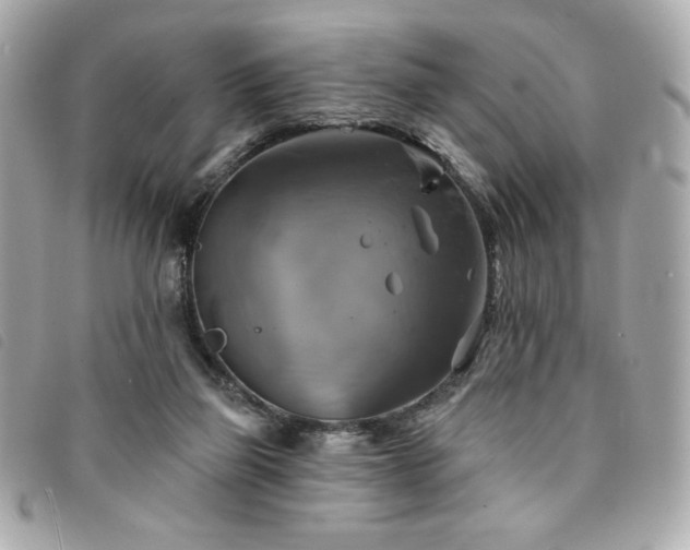 X0000094210165200710261217