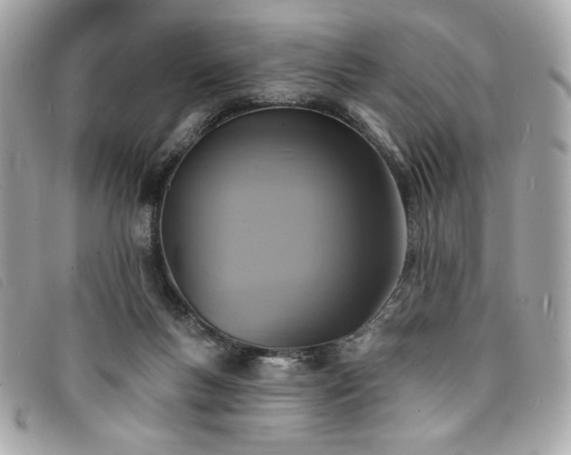 X0000094210167200710261217