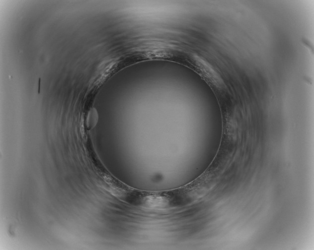 X0000094210169200710261218