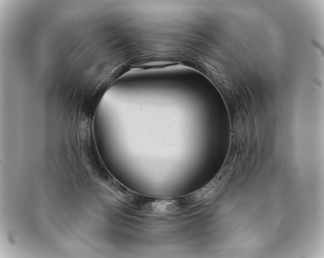X0000094210172200710261218