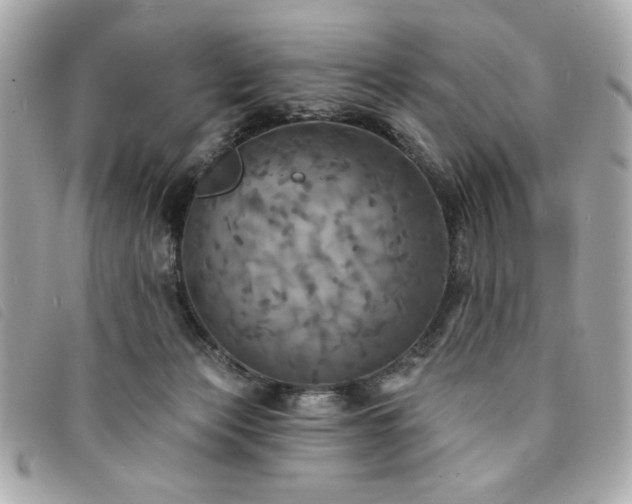 X0000094210173200710261218