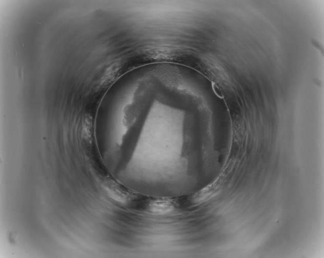 X0000094210175200710261218