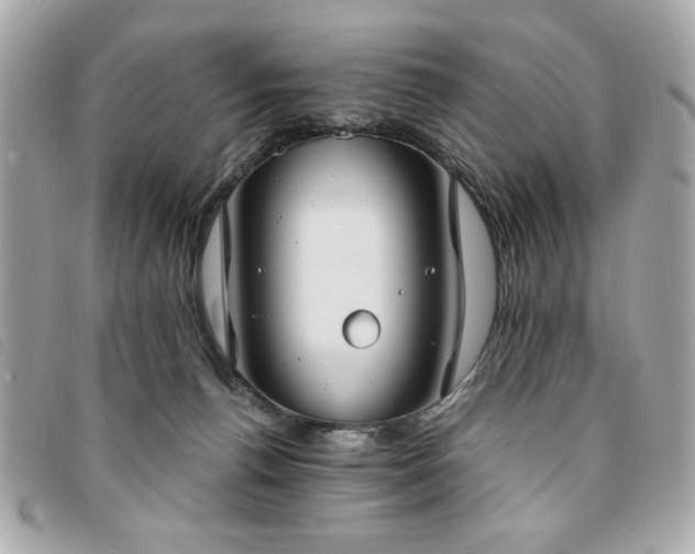X0000094210176200710261218