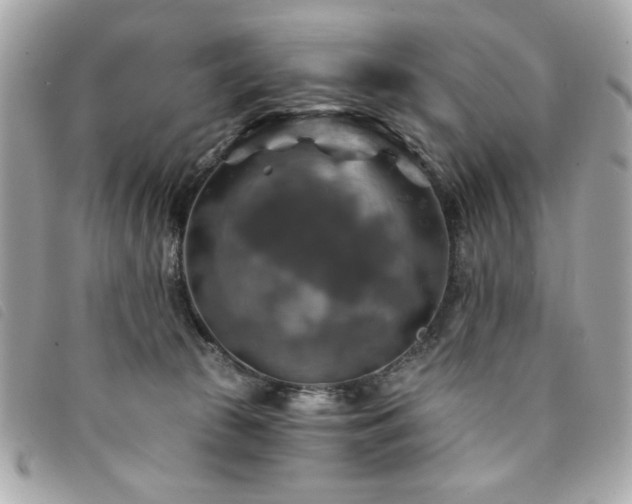 X0000094210177200710261218