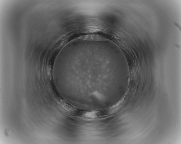 X0000094210178200710261218