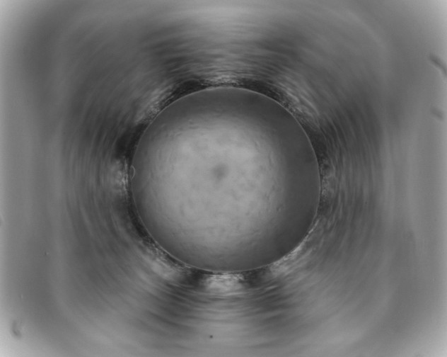 X0000094210179200710261218