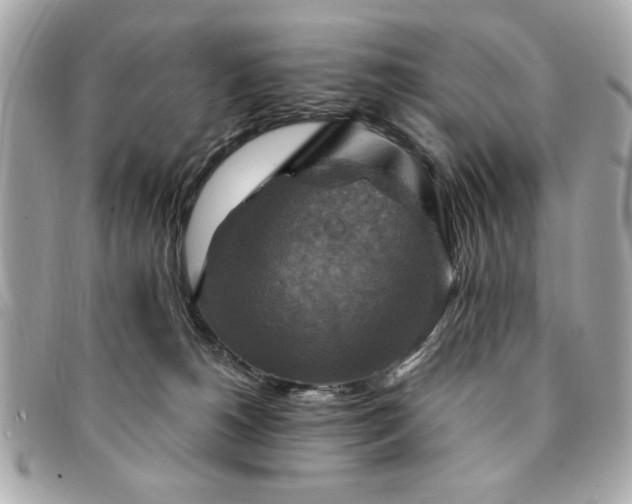 X0000094210180200710261218