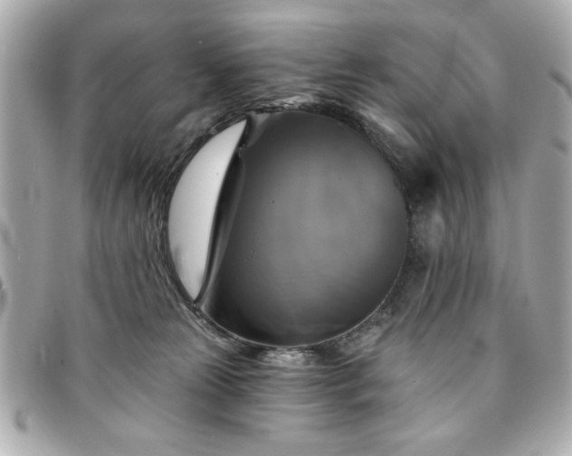 X0000094210181200710261218