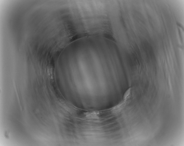 X0000094210182200710261218
