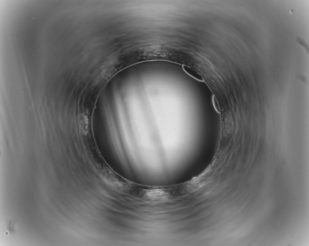 X0000094210183200710261218