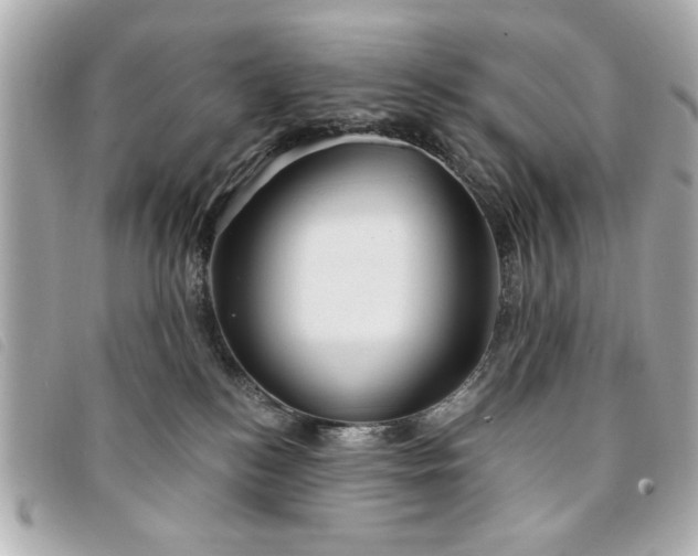 X0000094210184200710261218