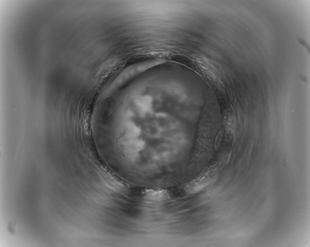 X0000094210185200710261218