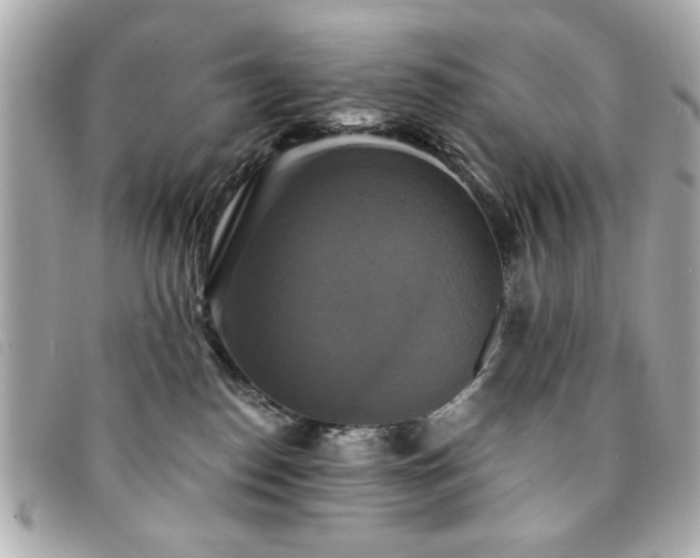 X0000094210186200710261218