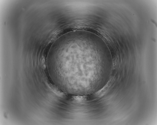 X0000094210187200710261218