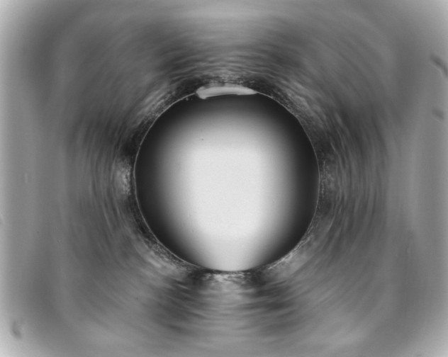 X0000094210188200710261218