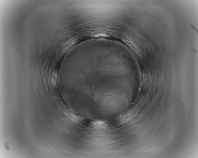 X0000094210189200710261218