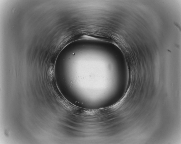X0000094210190200710261218